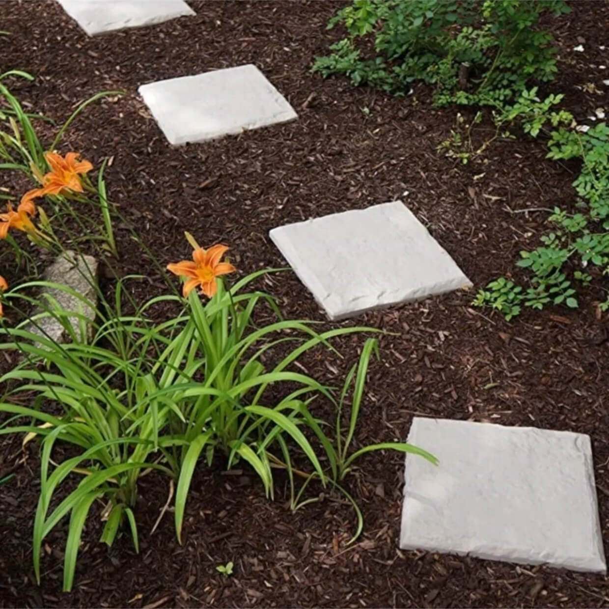 Dekoratif Adım Karosu